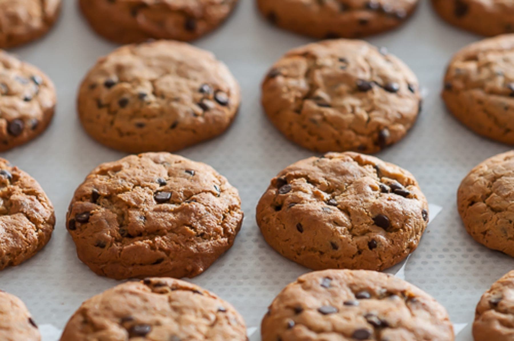 Cookies cu ciocolată pe tavă, în atelier