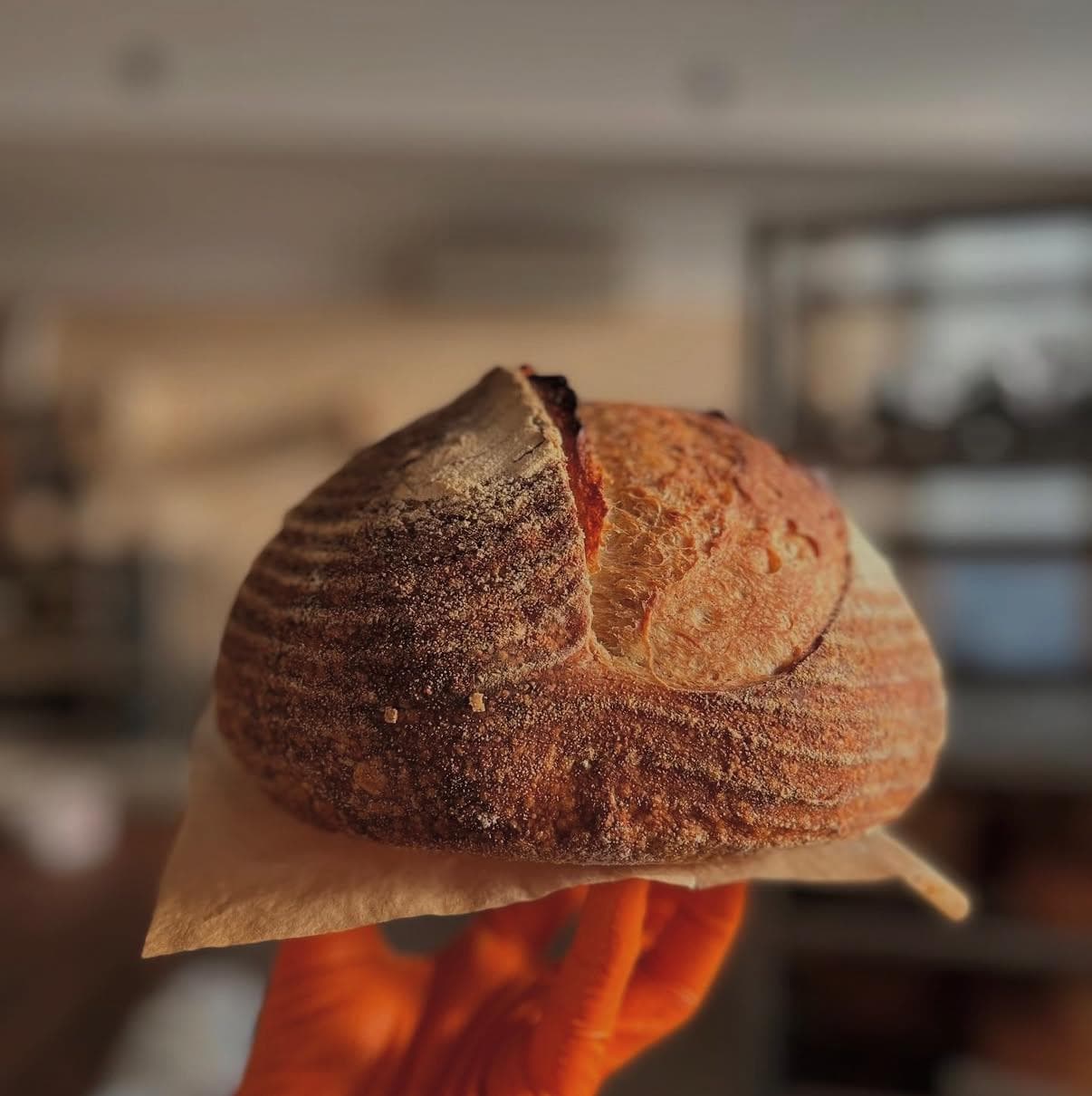 Pâine rotundă cu maia, proaspăt scoasă din cuptor, ținută în mână